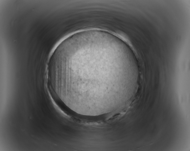 X0000084531524200703231641