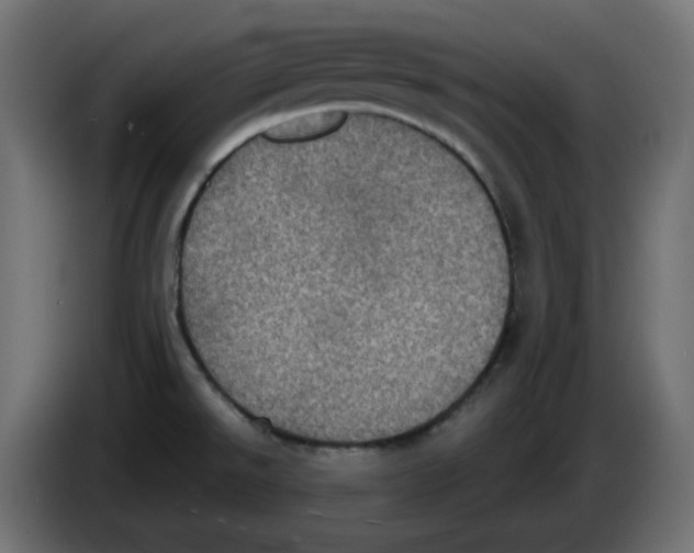 X0000084531526200703231641
