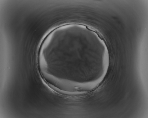 X0000084531527200703231641
