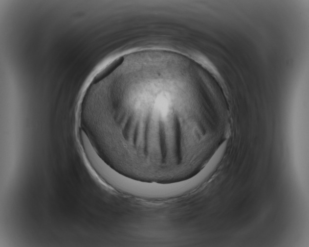 X0000084531528200703231641