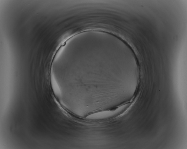 X0000084531529200703231641