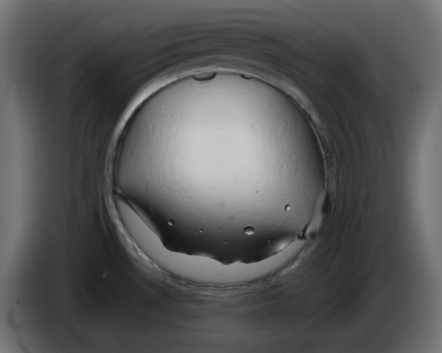 X0000084531530200703231641