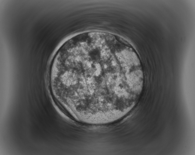 X0000084531531200703231641