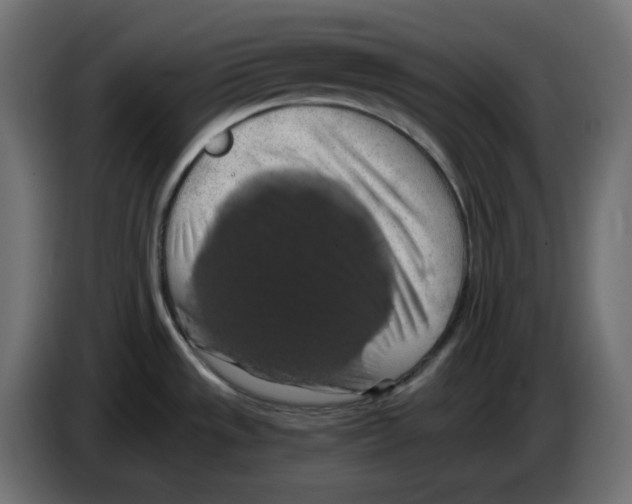 X0000084531533200703231641