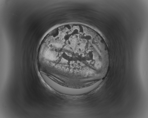 X0000084531534200703231641