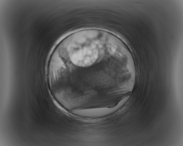 X0000084531535200703231641