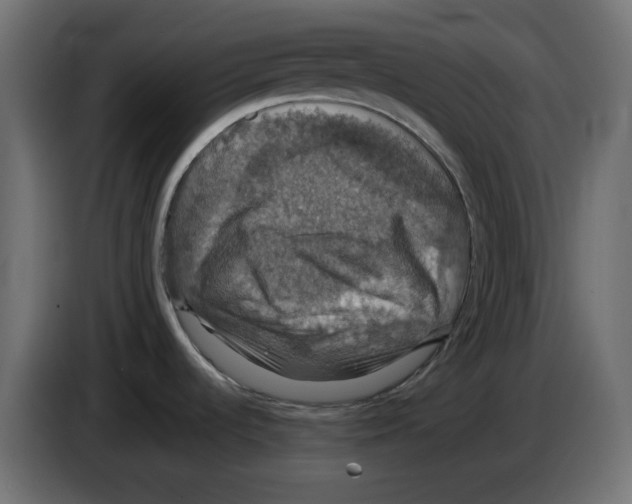 X0000084531536200703231641