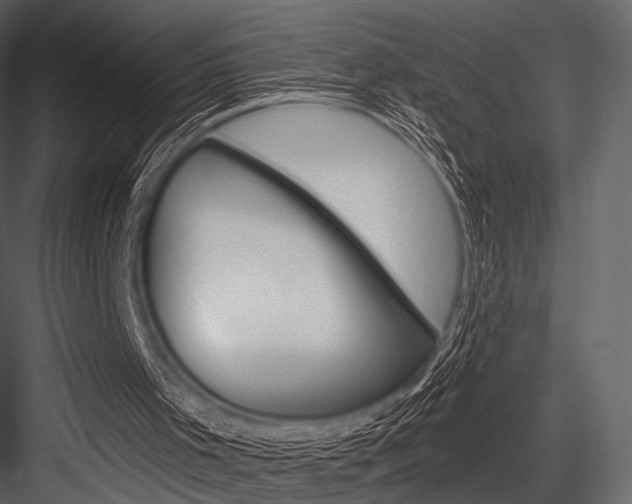 X0000084540001200702230921