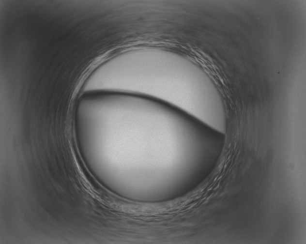 X0000084540003200702230921