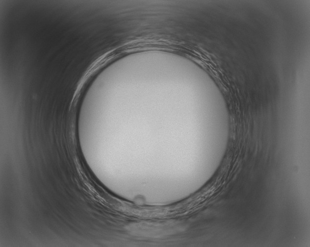 X0000084540004200702230921