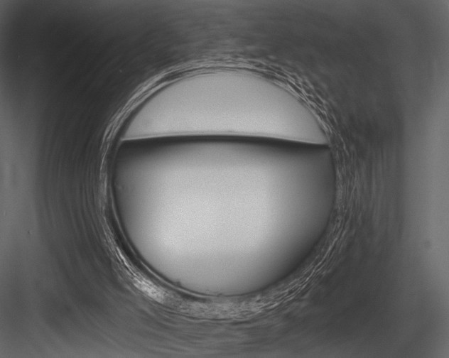 X0000084540005200702230921