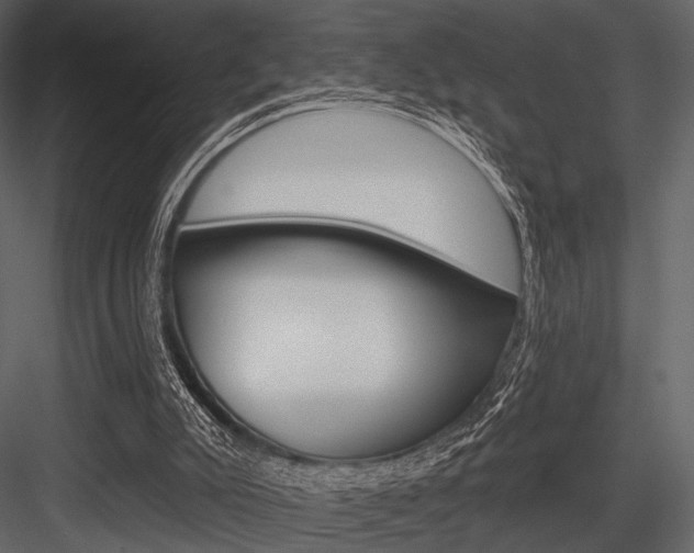 X0000084540007200702230921