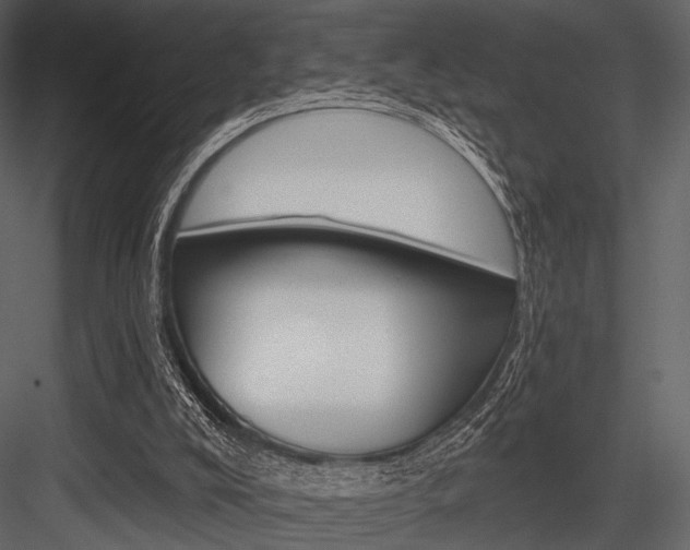 X0000084540008200702230921