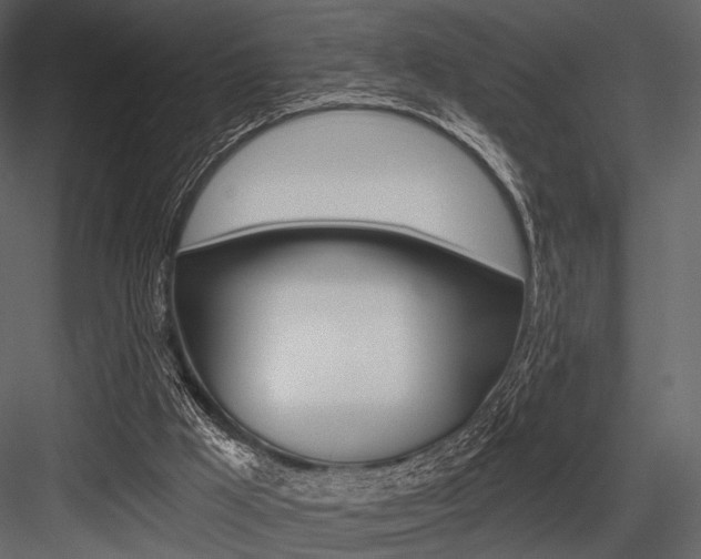X0000084540009200702230921