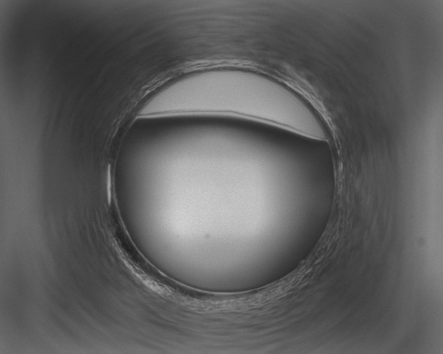 X0000084540013200702230920