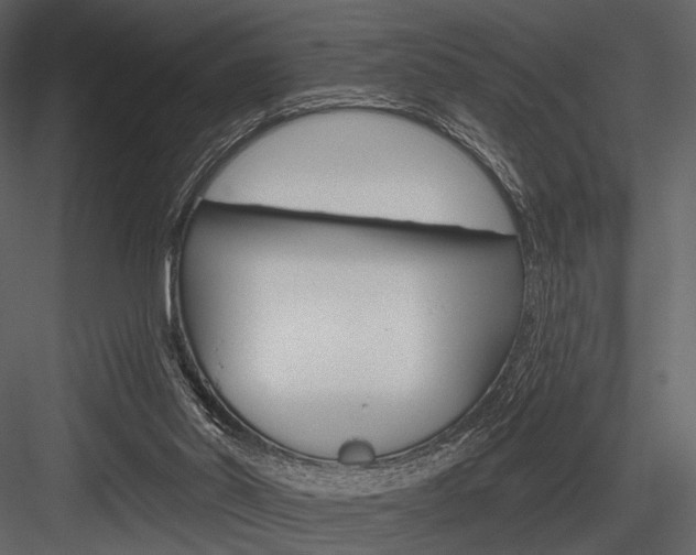 X0000084540014200702230920