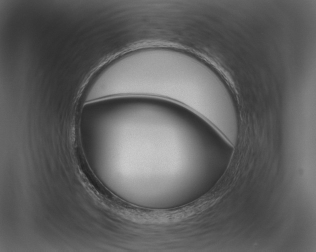 X0000084540015200702230920