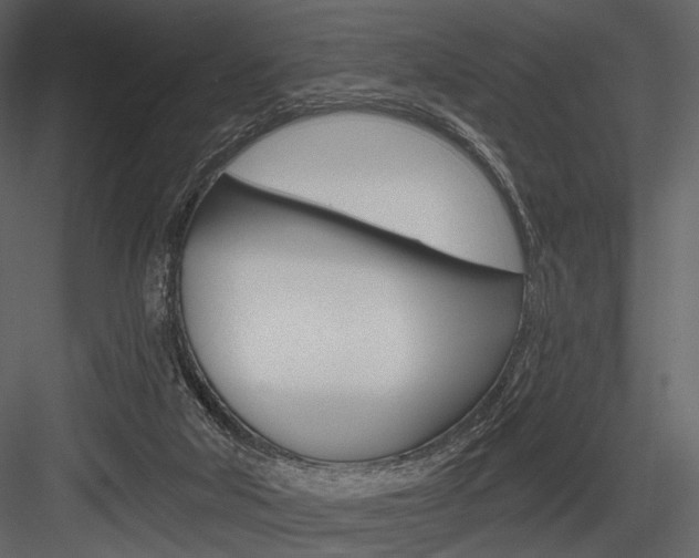 X0000084540018200702230920