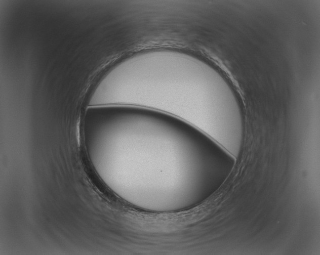 X0000084540019200702230920