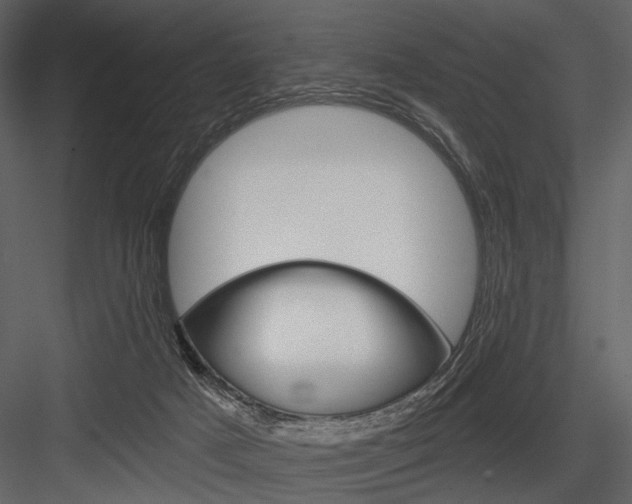 X0000084540025200702230920