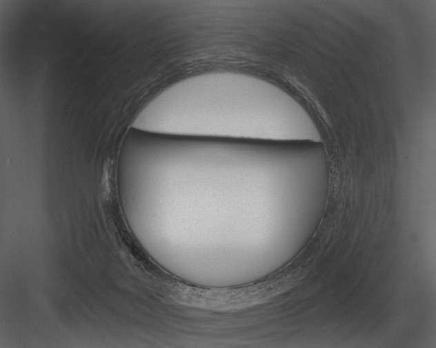 X0000084540026200702230920