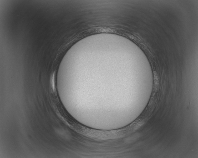 X0000084540028200702230920