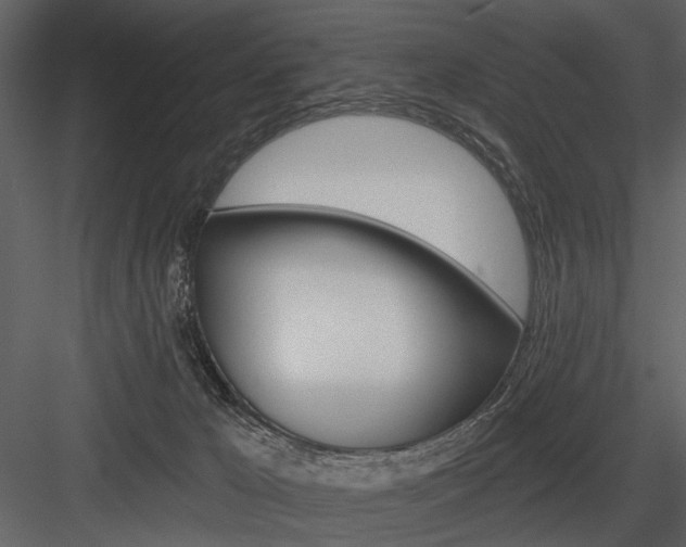 X0000084540029200702230920