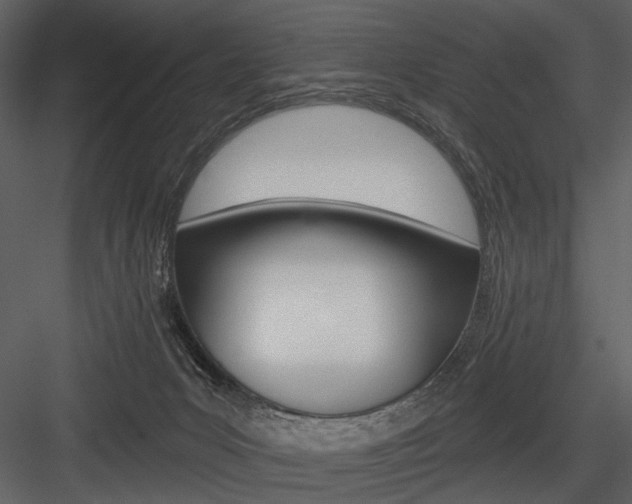 X0000084540031200702230920