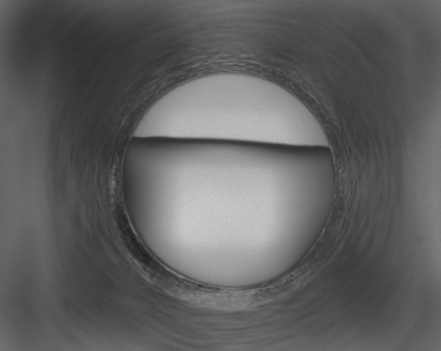 X0000084540032200702230920