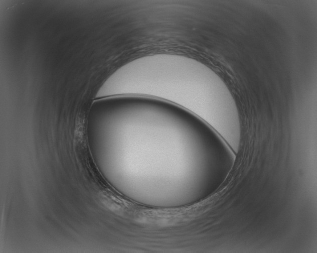 X0000084540033200702230920