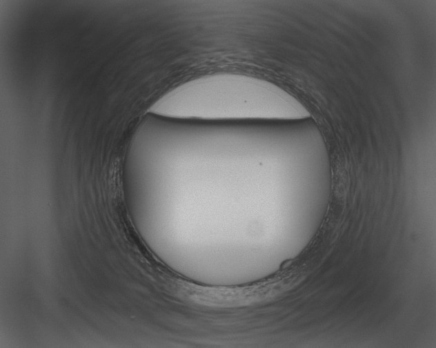 X0000084540034200702230920