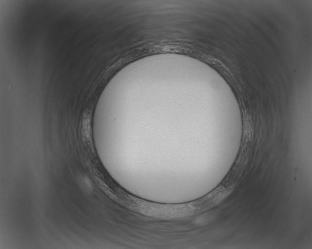 X0000084540036200702230920