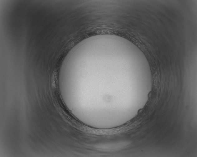 X0000084540038200702230920