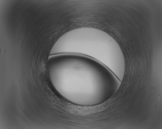 X0000084540039200702230920