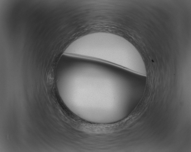 X0000084540040200702230920