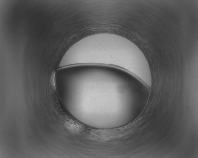 X0000084540041200702230920