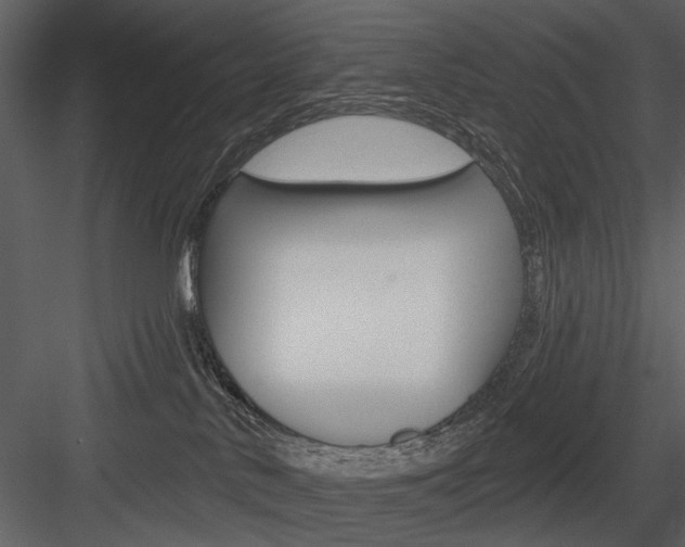 X0000084540042200702230920