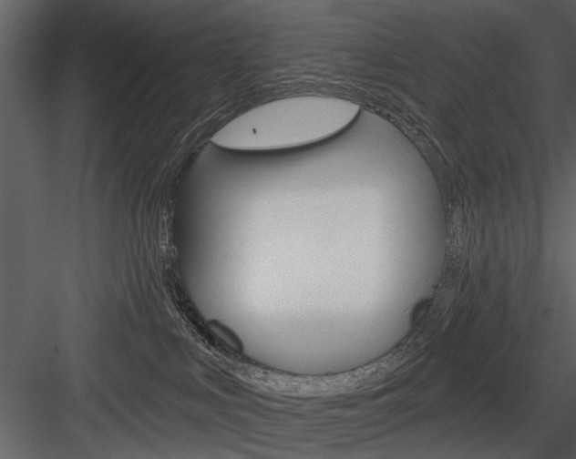 X0000084540043200702230920