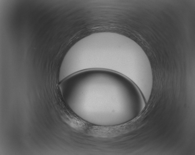 X0000084540045200702230920
