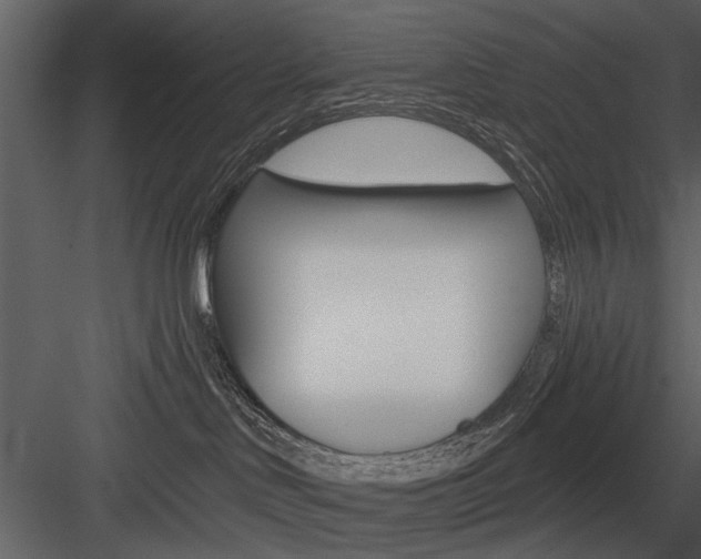 X0000084540046200702230920