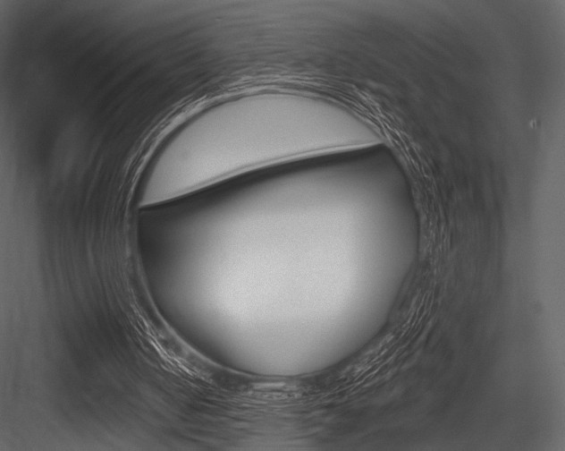 X0000084540050200702230919