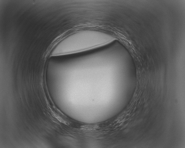 X0000084540051200702230919