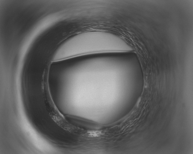 X0000084540052200702230919