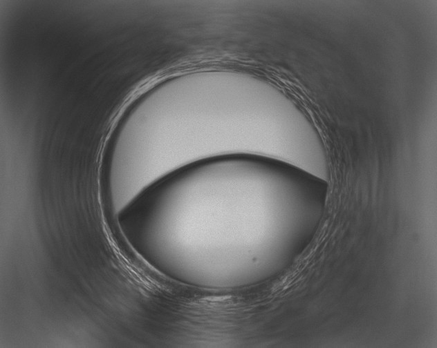 X0000084540054200702230919