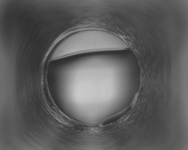 X0000084540056200702230919
