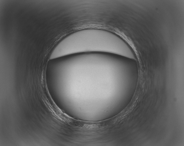 X0000084540057200702230919