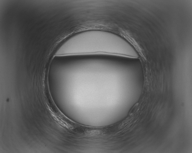 X0000084540058200702230919