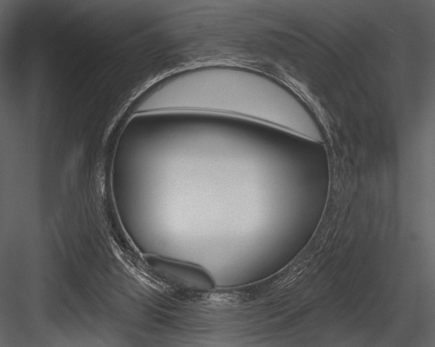 X0000084540060200702230919