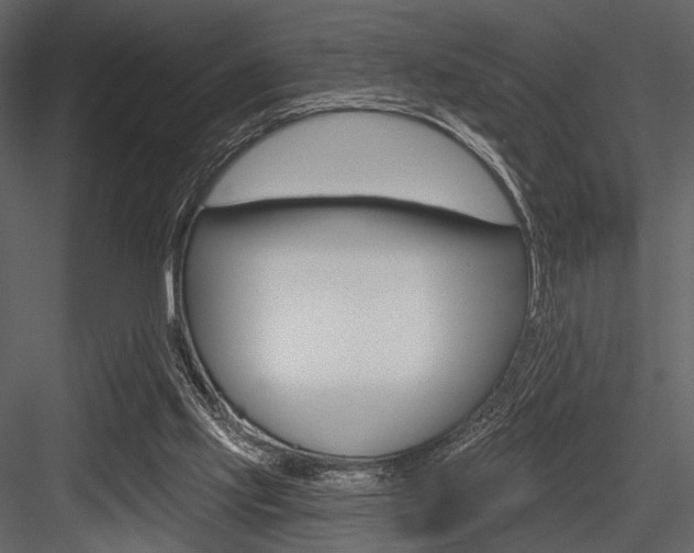 X0000084540061200702230919