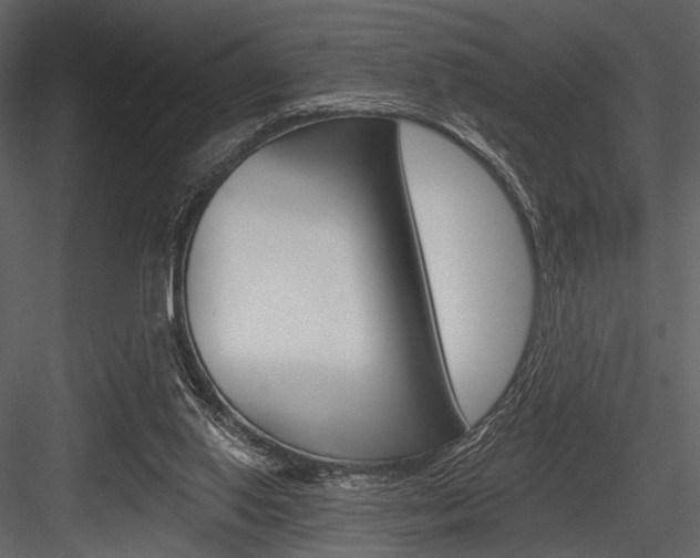 X0000084540062200702230919